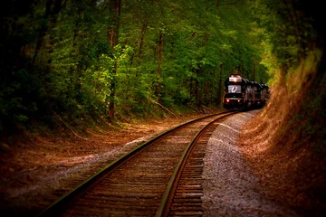 Fotobehang Train coming down the tracks © keith