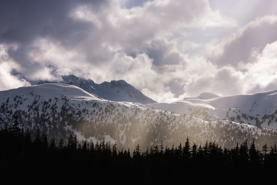 Tongass Forest and Chilkat Mountains, St James Bay, Alaska, USA