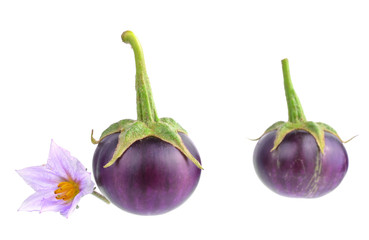 Eggplant isolated on white