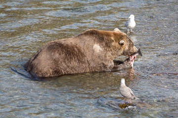 Its soooo Good! And you cant have any