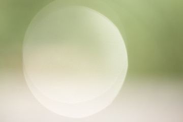 Fresh healthy green bio background with abstract blurred foliage