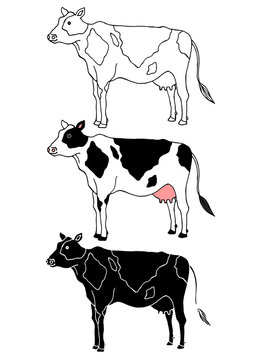 set of cow animal hand drawn vector illustration design