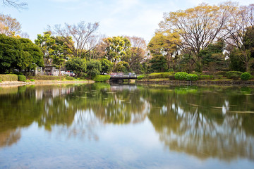 Fototapeta na wymiar Kitanomaru National Garden near the Imperial Palace (Chiyoda) located at Tokyo, Japan.