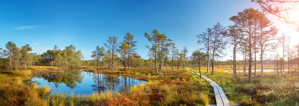 Viru bogs at Lahemaa national park in autumn. Wooden path at beautiful wild place in Estonia