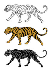 set of tiger animal hand drawn vector illustration design
