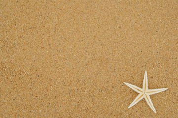 Fototapeta na wymiar Starfish on sand background