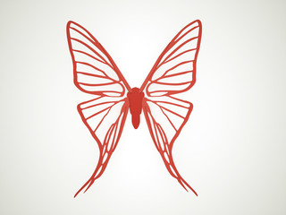 Butterfly render isolated on white