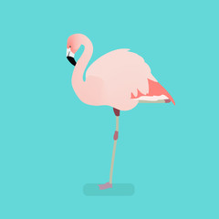 Flamingo bird on a branch. Isolated vector illustration of a flat