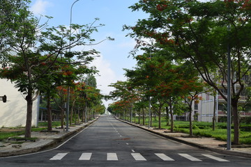 Obraz premium empty road