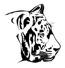 Bengal tiger potrait