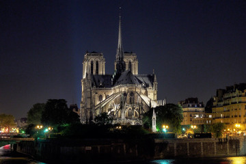 Fototapeta na wymiar Paris - Notre Dame bei Nacht