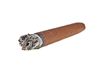 Brown cigar burned on white background