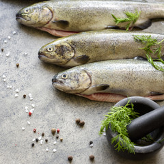 Fish Trout ona a board