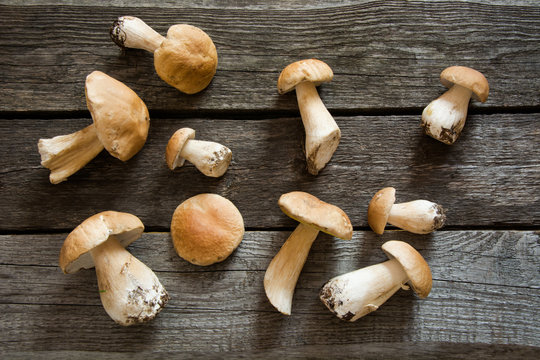Fresh white mushrooms from  forset on a rustic wooden board, overhead view.