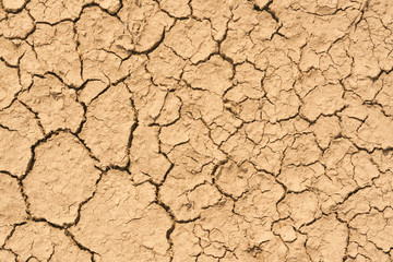 Brown cracked earth, background