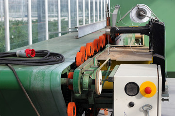 Automatic packaging line with flower processing machine in the nursery of ornamental plants.