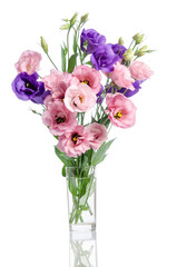 bunch of violet, white and pink eustoma flowers in glass vase is