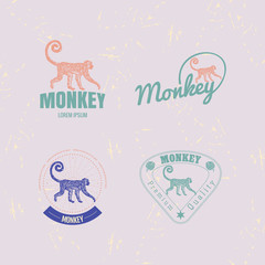 Vector logo set with Jungle Monkey