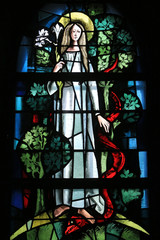Fototapeta premium La Vierge et le serpent. Vitrail réalisé en 1963 par Max Ingrand, dans la chapelle Sud de l'église Saint-Ulrich d'Altenstadt de Wissembourg. ..