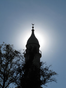 Minaret in the park by the Chateau in Lednice / Minaret in the park by the Chateau in Lednice, South Moravia (Czech Republic)