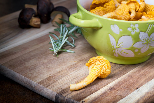 Bowl with cantharellus. Yellow chanterelle