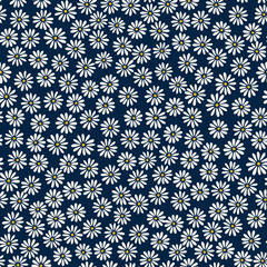 Cute daisies background