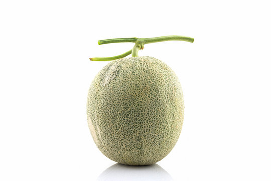 Close up of whole cantaloupe fruit. Green melon.