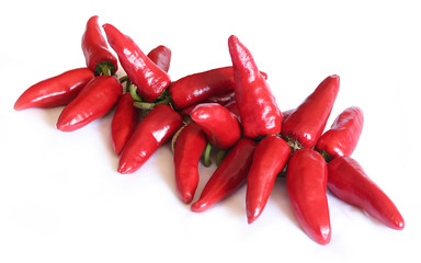 Piments d'Espelette / Espelette pepper (Capsicum annuum) © Brad Pict