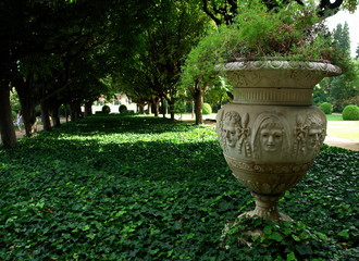 Fototapeta na wymiar Vase in the Park, Barcelona, Spain.