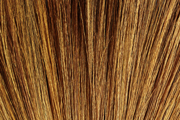 Broom grass texture abstract background.