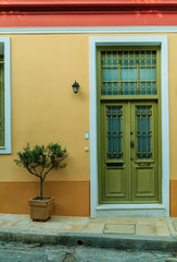 Fototapeta na wymiar Decoration olive tree in flower pot near wooden green front door