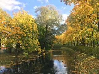 Obraz premium Golden autumn