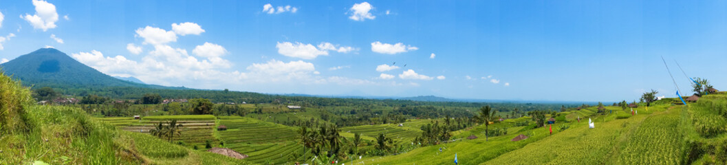 Fototapeta na wymiar Panorama über die Reisfelder von Bali Indonesien