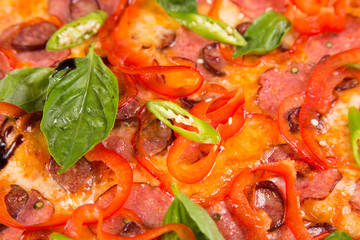 pizza isolated on white