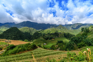 Fototapeta na wymiar Rice terraces in Sapa city,North of Vietnam