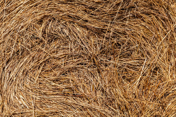 straw texture