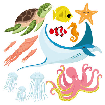 Sea turtle, fish, starfish, seahorse, squid, stingray, jellyfish, and octopus.