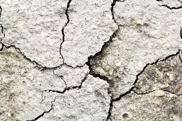 Cracked soil - texture and background