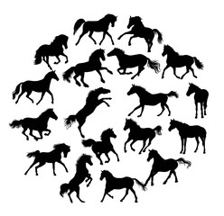 Horse Silhouettes Collection, illustration art vector design