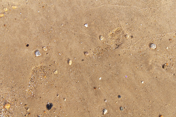 Sandy beach and stone for background