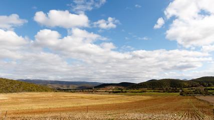 Fototapeta premium Cloudy Landscape Middle Plaas South Africa