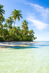 Empty palm fringed tropical beach on the northeast coast in Nordeste, Bahia, Brazil