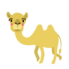 Bactrian Camel animal cartoon character. Isolated on white background. Vector illustration.