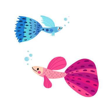 colorful cartoon guppy fish swimming clip art preview