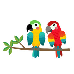 Colorful Parrot bird perching on the branch animal cartoon character. Isolated on white background. Vector illustration.