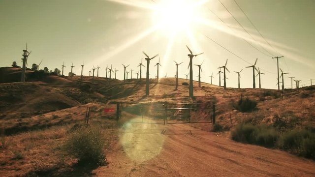 A desaturated wide angle view of many wind turbines on a hillside.