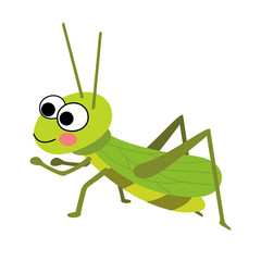 Fototapeta na wymiar Happy Grasshopper animal cartoon character. Isolated on white background. Vector illustration.