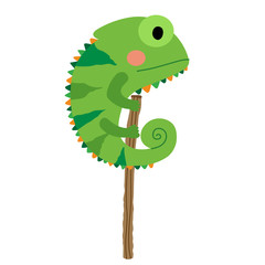 Green Chameleon animal cartoon character. Isolated on white background. Vector illustration.