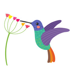 Golden tailed sapphire Hummingbird getting nectar from a flower animal cartoon character. Isolated on white background. Vector illustration.