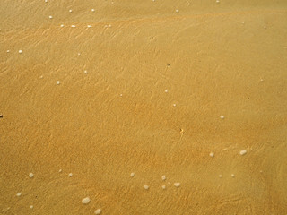 sea sand with shallow water